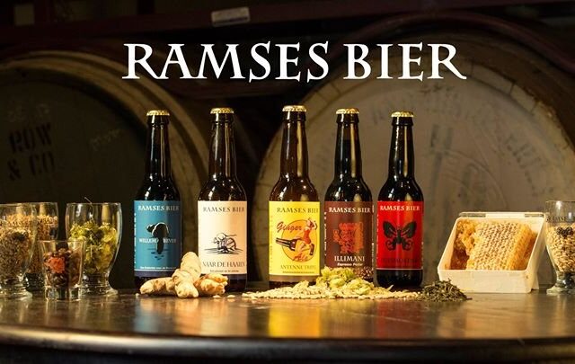 5b17a2822a5ab0618f54144d-large