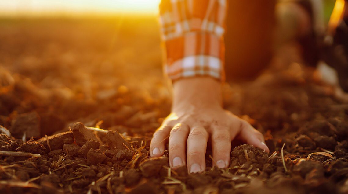 Grond_hand_teeltadvies_service_slider_1140x1164 72 dpi