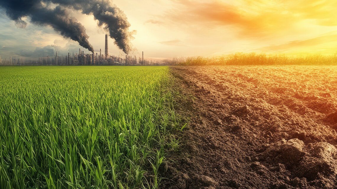 Landschap 4-ledig_transitie-advies_service_slider_1140x1164 72 dpi