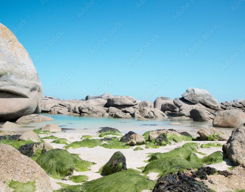 AdobeStock_161968079_Preview