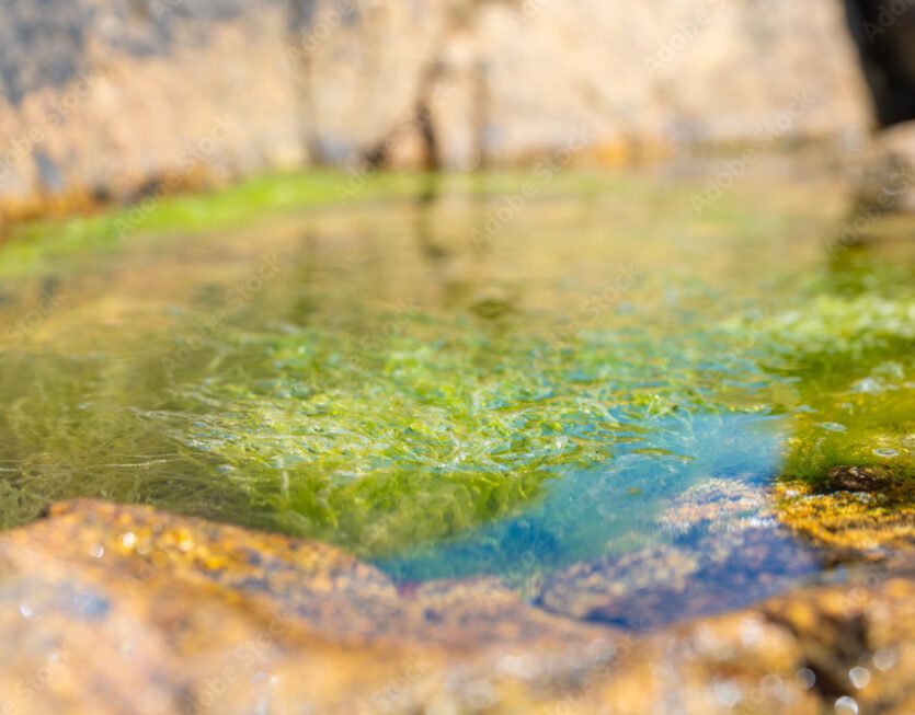 AdobeStock_230179334_Preview